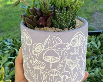 May include: A lavender ceramic planter with a white mushroom design. The planter is filled with a variety of succulents.
