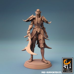 D&D Elf Fighter | Ranger