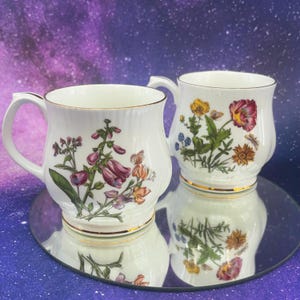 Vintage Royal Windsor Fine Bona China Wildflower Mug Set of 2