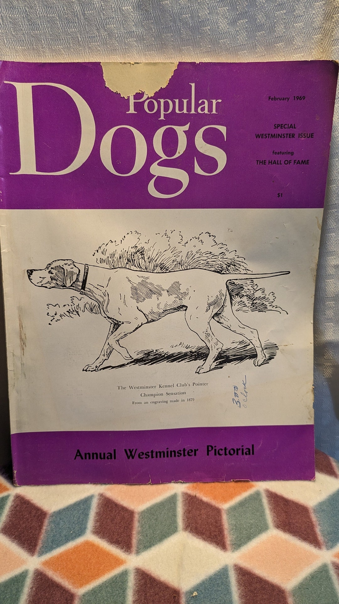 1969-popular-dogs-westminster-pictorial-edition-vintage-and-in-etsy