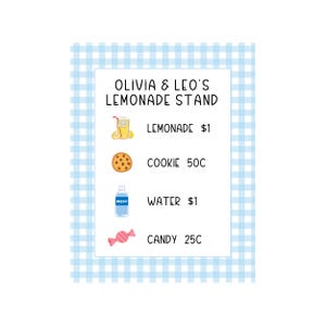 May include: A blue and white gingham patterned sign with the text "Olivia & Leo's Lemonade Stand" and a price list for lemonade, cookies, water, and candy.