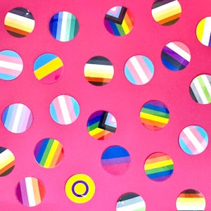 Pride Flag Vinyl Stickers – LGBTQ+ Rainbow, Trans, Bi, Nonbinary. Matte Finish.