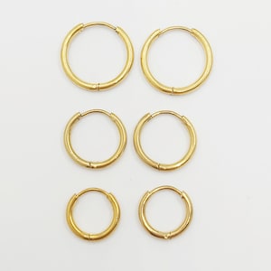 Small Thin Hinged Hoop Surgical Steel Earrings Man / Women 8mm, 10mm, 12mm