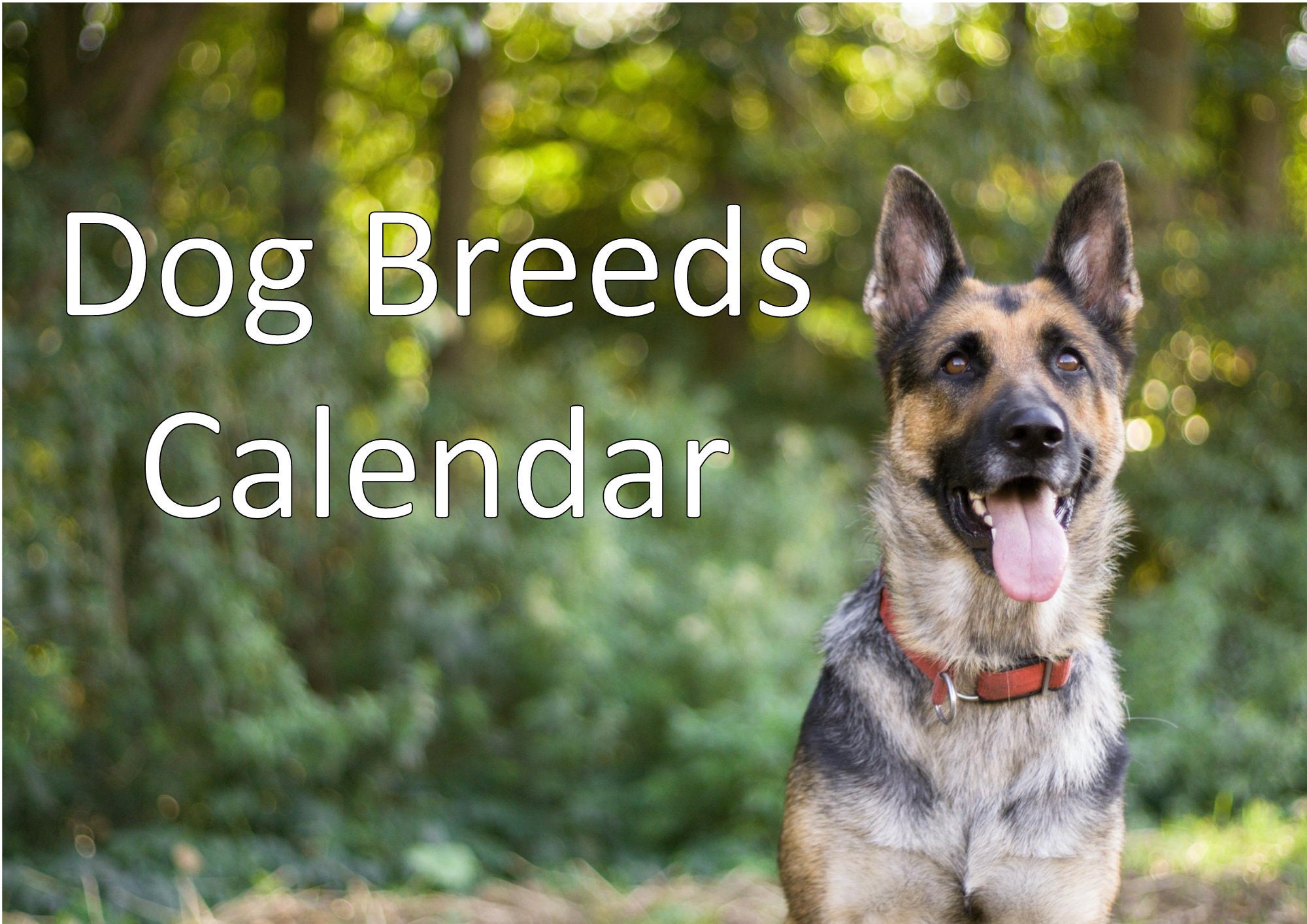 2024 Printable Dog Breeds Calendar Digital Calendar Dog Etsy