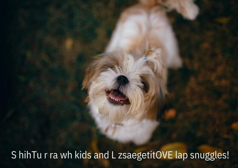 2024 Printable Dog Breeds Calendar Digital Calendar Dog Etsy