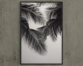 Minimalist Palm Tree Fine Art Photography Print, 24 x 36" Format, unique Black and white Modern Art, Tropical Vibes, Boho Cottage Decor