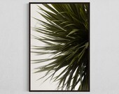 Tropical Fine Art Print, Palm Leaf Photography, natural Home Decor, perfect Gift for Nature Lovers, 24 x 36'' Print for living room