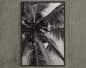 Minimalistic Palm Tree Fine Art Photography Print, 24 x 36" Black and white Artwork, Modern Art, Tropical Vibes, Boho Cottage Home Decor