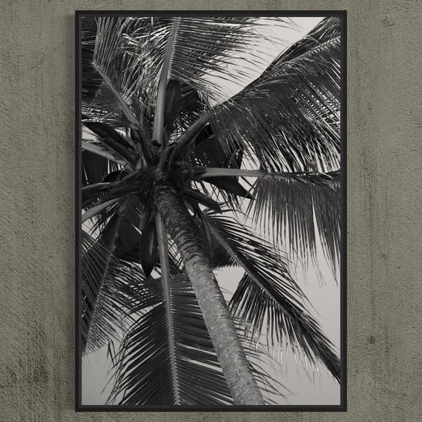 Impression minimaliste de photographie d'art palmier, oeuvre en noir et blanc 24 x 36", Art moderne, ambiance tropicale, décoration d'intérieur chalet bohème