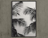 Minimalistic Palm Tree Photo, 24 x 36 Art Print, black and white apartment decor, plant artwork, gift for a freind