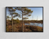 Kemeri Nationalpark Print, Latvia Tree Landscape Photography 24 x 36'', Fine Art Home Decor, Gift for Nature Lovers