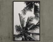 minimalistic Palm Tree Photo, Black and white fine art print, 24 x 36" monochrome landscape, modern home decor, boho style