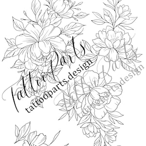peony outline