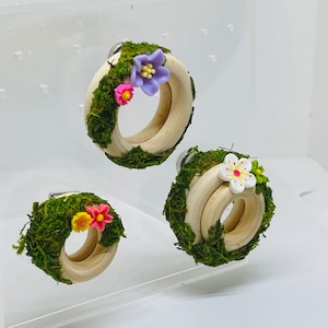 Ring Hide for Jumping Spiders: Moss & Flower Enrichment Toy