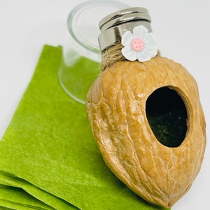 May include: A small, decorative, brown, hollowed-out walnut shell with a white flower and a silver lid. The walnut shell is sitting on a green surface.