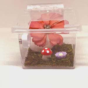 Adorable MINI Home for Jumping Spiders~cute accessories~Lid with opening lid to feed & mist. Your baby Spiders will feel safe and happy!