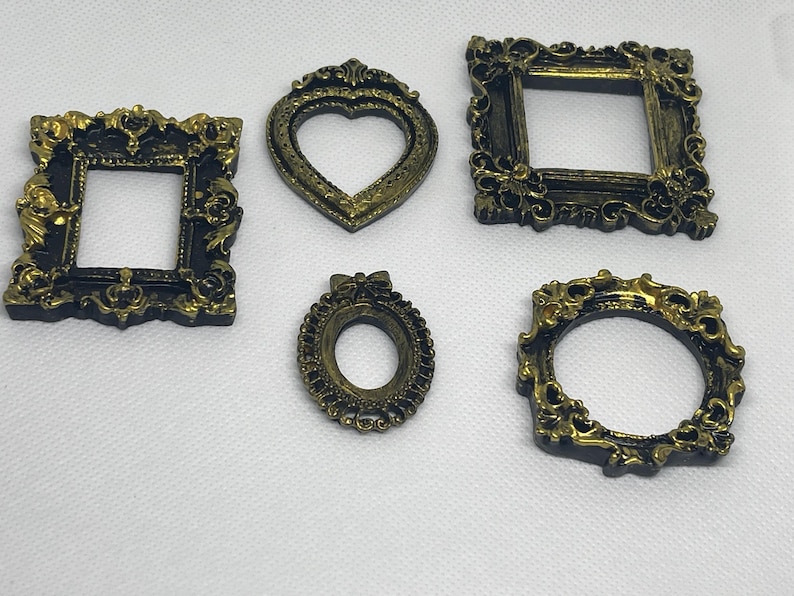 Jumping Spider Frame Hide Beautifully Made for Your Spoodgreat Daily