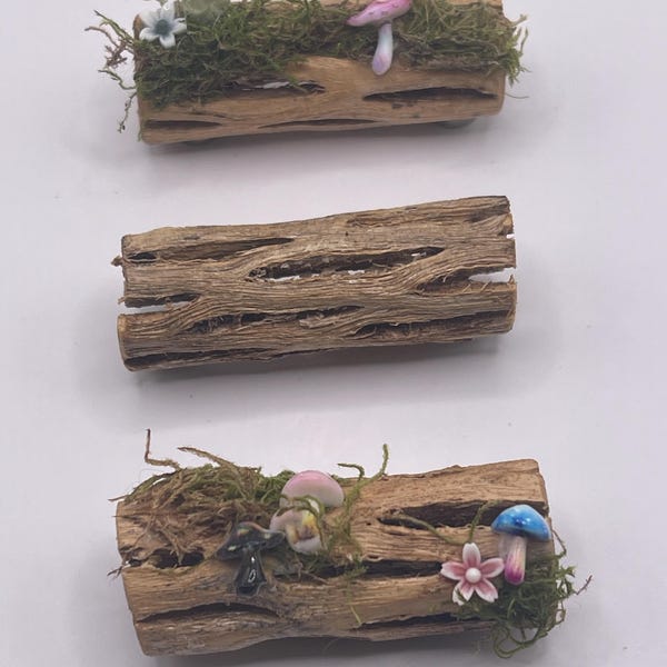 Custom Cholla Ledges for Jumping Spiders-choose decorated or simple-perfect for all size spoods