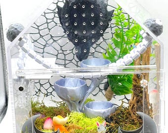 Custom Made Jumping Spider Enclosure-Lots of accessories + Freebies-Easy open door stays in place w/magnets,Cross Ventilation & more!
