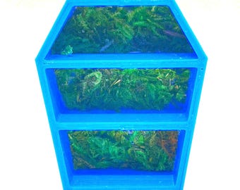 Mini Gothic Coffin Shelf: Jumping Spider Habitat with Moss