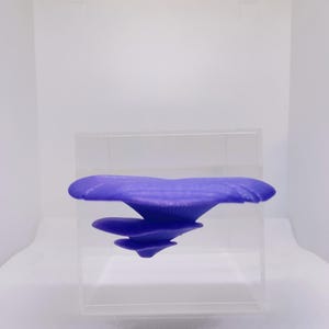 May include: A purple 3D printed object resembling a mushroom or a cloud, displayed in a clear acrylic cube.
