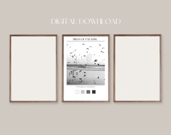 DIGITAL WALL ART Download - Birds of Paradise