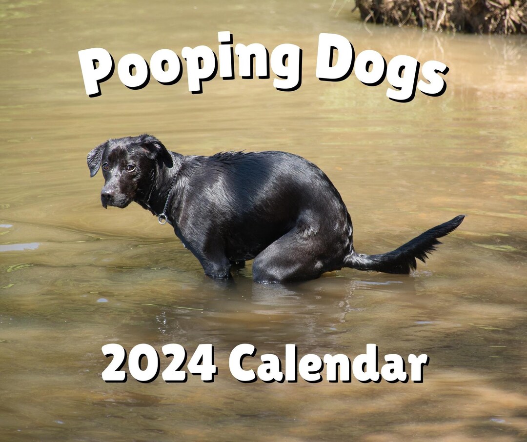 2024 Pooping Pooches 2024 Calendar Pooping Dogs White Etsy UK