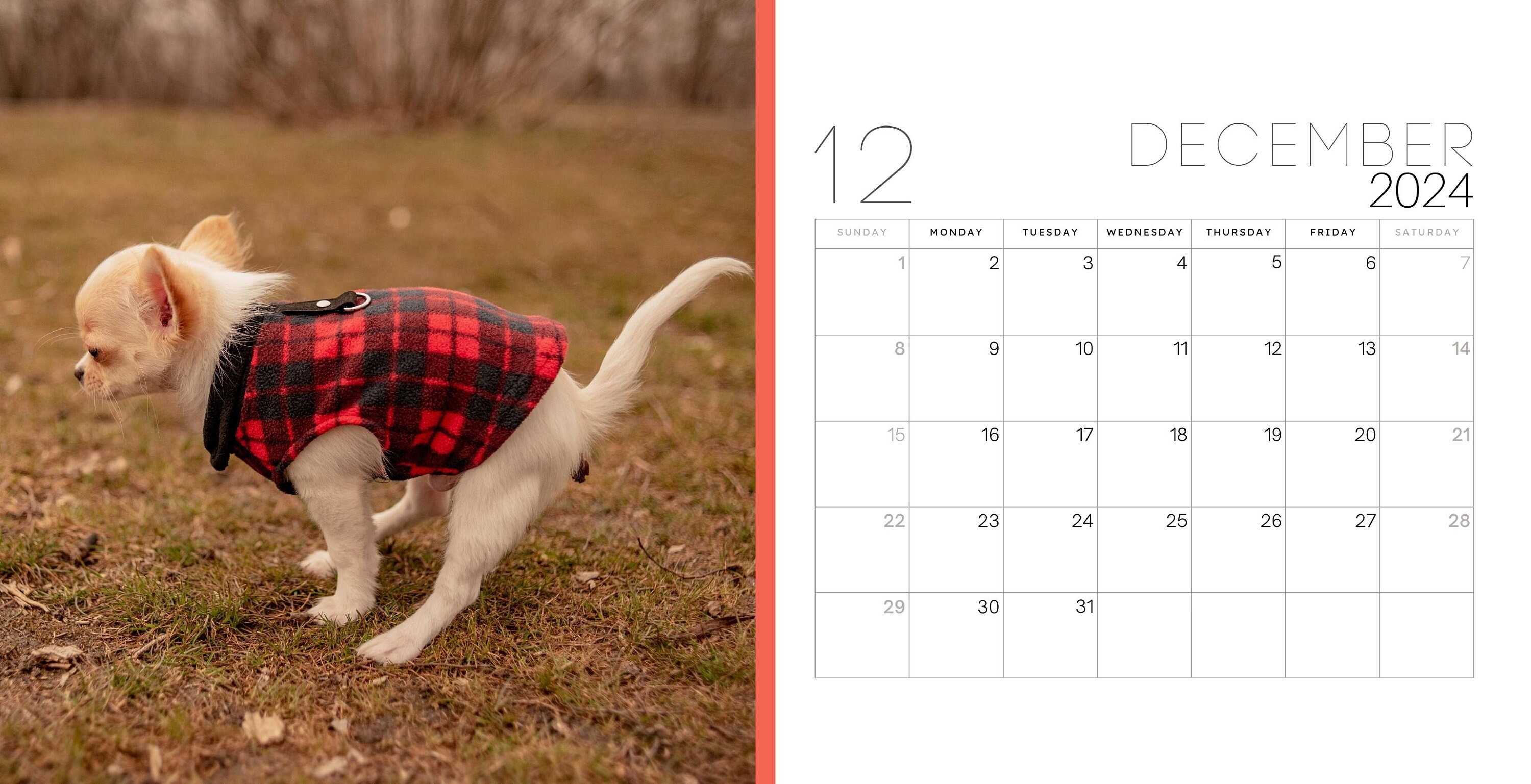 2024 Pooping Pooches Pooping Dogs 2024 Desk Calendar White Etsy Canada