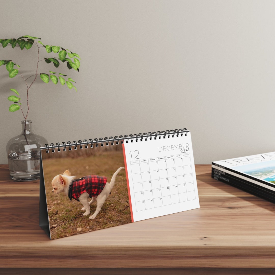 2024 Pooping Pooches Pooping Dogs 2024 Desk Calendar White Etsy
