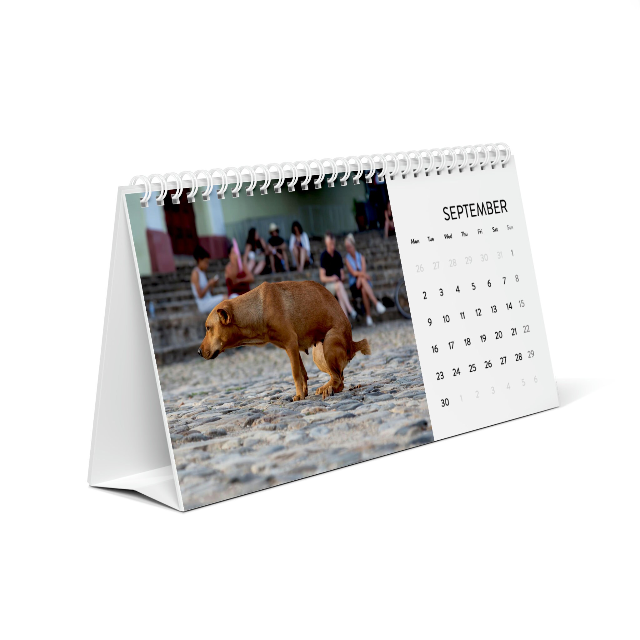2024 Pooping Pooches Pooping Dogs 2024 Desk Calendar White Etsy Australia