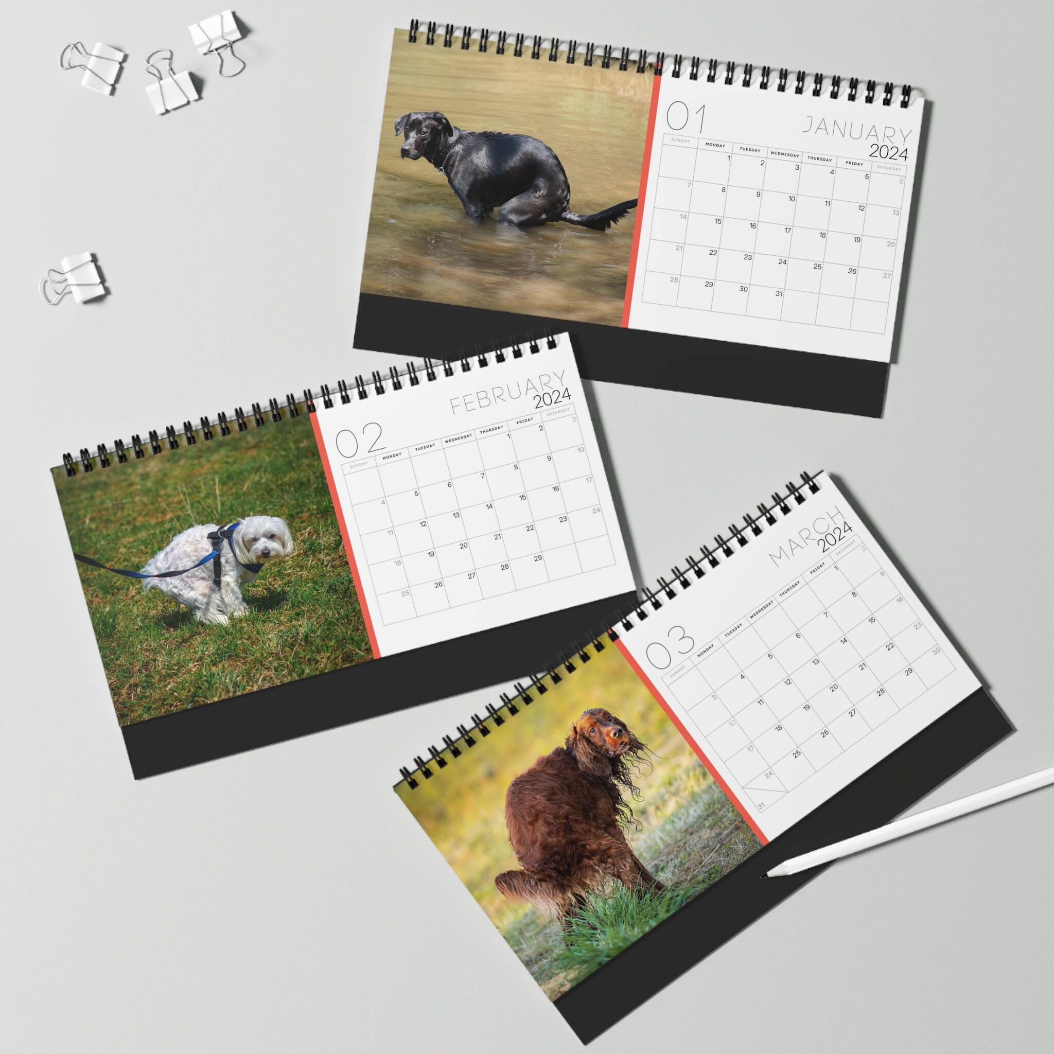 2024 Pooping Pooches Pooping Dogs 2024 Desk Calendar White Etsy