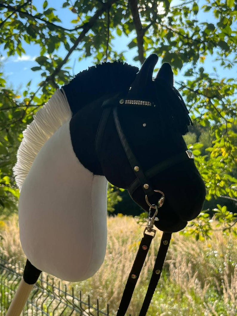 Hobby Horse Friese, Zwart, A3, Paard, compleet met net, hoofdstel, teugels, halster en insectenkap, paardenhoofd, stok voor Hobby Horsing kinderen en jongeren