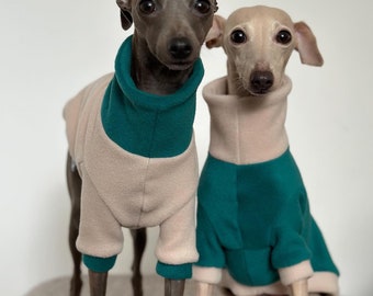 May include: Two Italian Greyhounds wearing matching dog sweaters. The sweaters are beige with teal accents on the collar and cuffs. One dog is gray, and the other is tan. They are sitting on a neutral-colored surface.