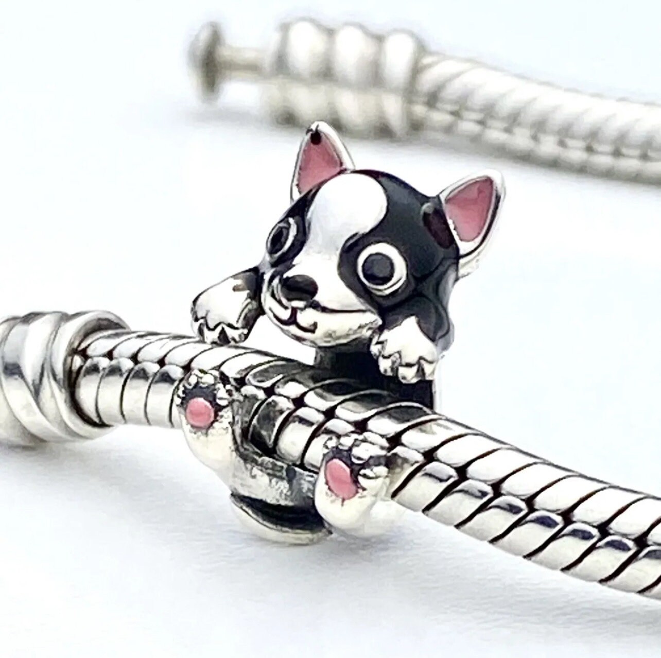 Chihuahua pandora deals charm