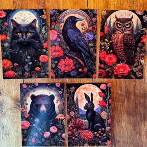 Premium Postcard Set of 5 | Botanical Night Animals | Postcrossing | Carte Postale | Postcard | Owl | Black Cat| Hare | Raven | Black Bear