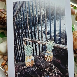 Luna di miele all'ananas (4 cartoline fotografiche vuote.)