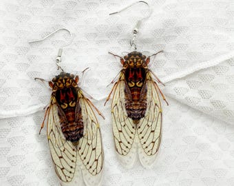 Cicada Earrings, Cicada Jewelry, Nature Inspired Earrings, Acrylic Earrings, Dangle, Insect Earrings, Entomology Gift, Novelty