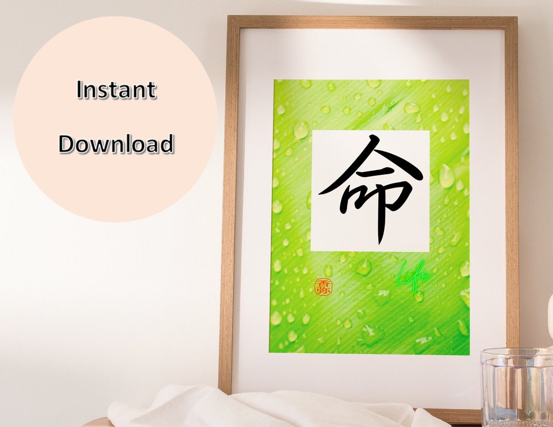 Japanese Kanji Wall Art PRINTABLE INSTANT DOWNLOAD Art Print