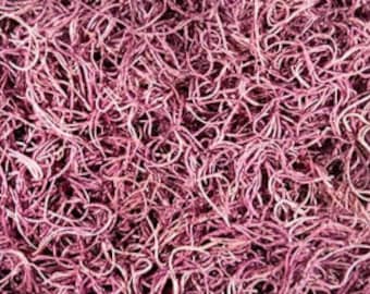 Spanish Moss, Pink Spanish Moss, DIY Moss Art, Moss Art Kit Additions, Plant Decor