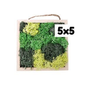 May include: A framed moss wall art piece with a green and yellow color scheme. The frame is made of wood and has a rope hanger. The moss is arranged in a geometric pattern. The text "5x5" is printed on a white label.
