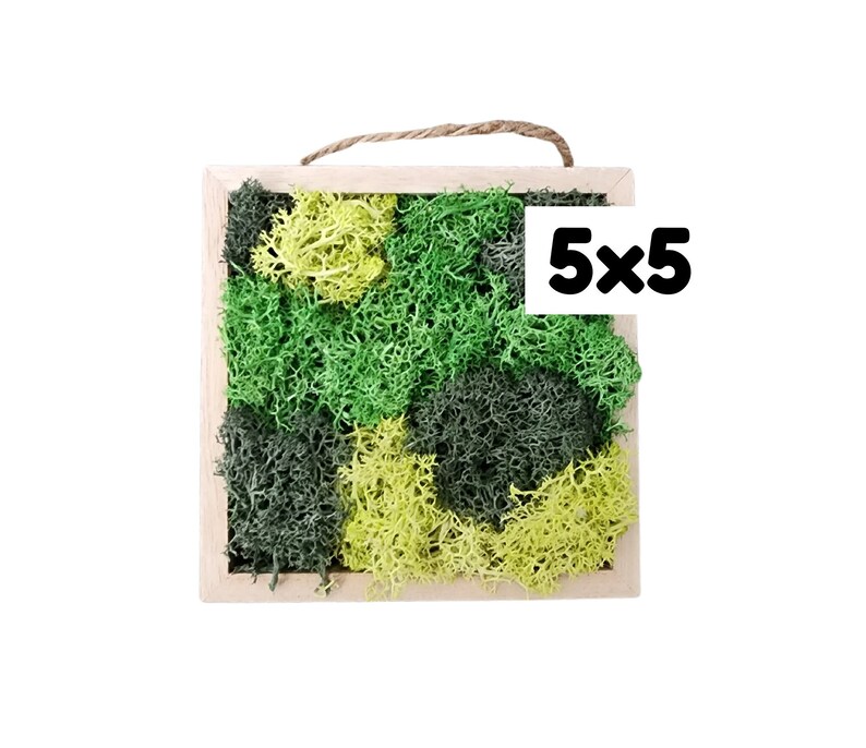 May include: A framed moss wall art piece with a green and yellow color scheme. The frame is made of wood and has a rope hanger. The moss is arranged in a geometric pattern. The text "5x5" is printed on a white label.