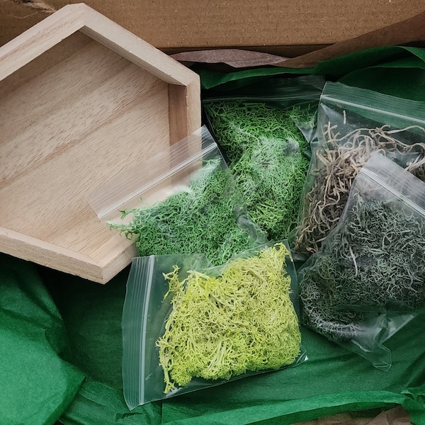 DIY Moss Kit, Moss Wall Art Kit, Holiday Gift, Unique Gift, Home & Hobby, Preserved Moss Art, Kits For Adults, Family Craft, Green Gifts