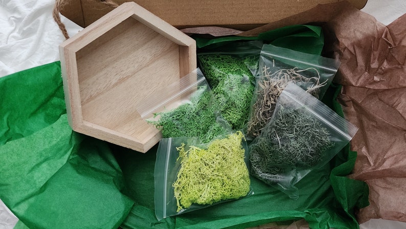 May include: A wooden hexagonal planter with five bags of preserved moss in various shades of green. The moss is packaged in clear plastic bags with zipper closures.