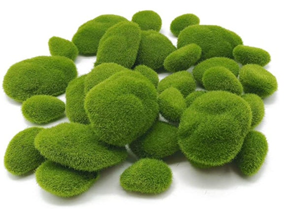 Preserved Moss 1.1 lb Artificial Moss for Potted Plants Natural Fresh Green  Moss for Crafts Fake Moss Arts Orchid Moss Wall Decor Wedding Centerpieces