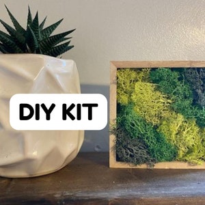 May include: A DIY kit for creating a moss wall art piece. The kit includes a wooden frame with a green and yellow moss design. The text "DIY KIT" is visible in the image.