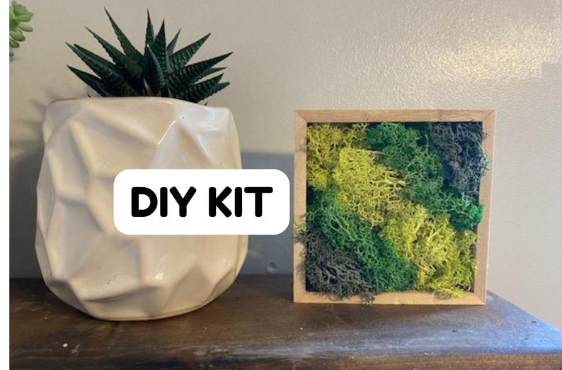 May include: A DIY kit for creating a moss wall art piece. The kit includes a wooden frame with a green and yellow moss design. The text "DIY KIT" is visible in the image.