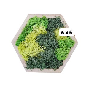 May include: A hexagonal wooden frame filled with preserved moss in shades of green and yellow. The frame measures 6 inches by 5 inches.