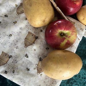 Cotton Print Handmade Microwave Potato, Corn, Asparagus or Apple Bag- Great Graduation Gift or Hot Summer Night Cooking