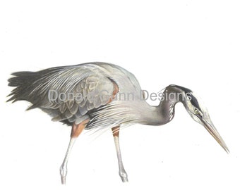 Great Blue Heron Cards (set of 8 cards plus envelopes)