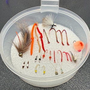 May include: A clear, round plastic container filled with a white foam insert holding an assortment of fishing flies. The collection includes various hooks with colorful synthetic fibers, feathers, and beads in shades of orange, red, brown, and white.